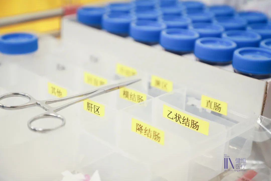 /uploads/image/2025/09/30/100000201.jpeg 100000201.jpeg